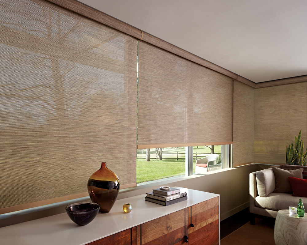Custom window shades