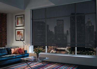 Screen, Dual & Roller Shades