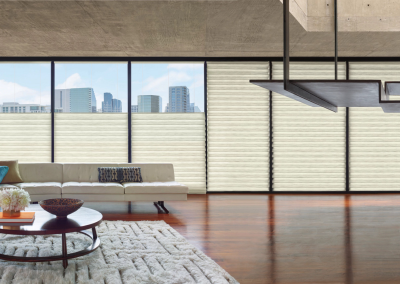 Vignette Roman Shades